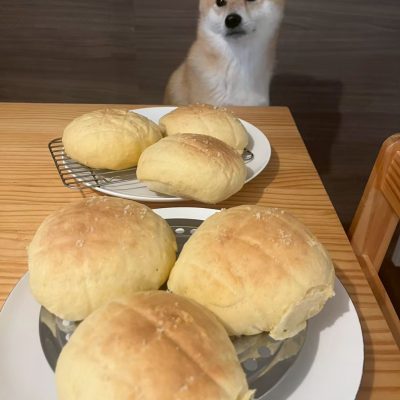 melonpan